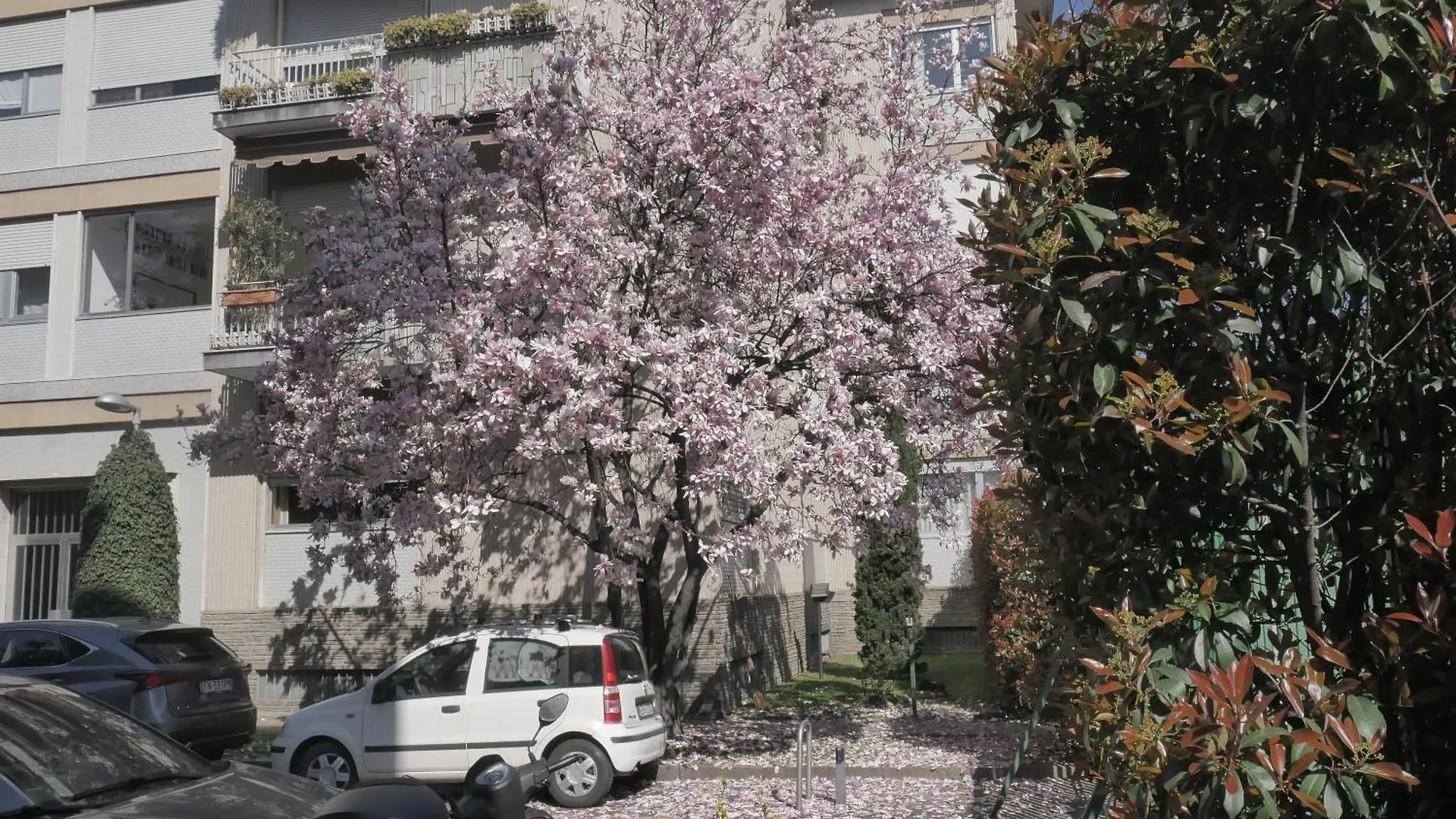 Garden Flat Apartment Milan