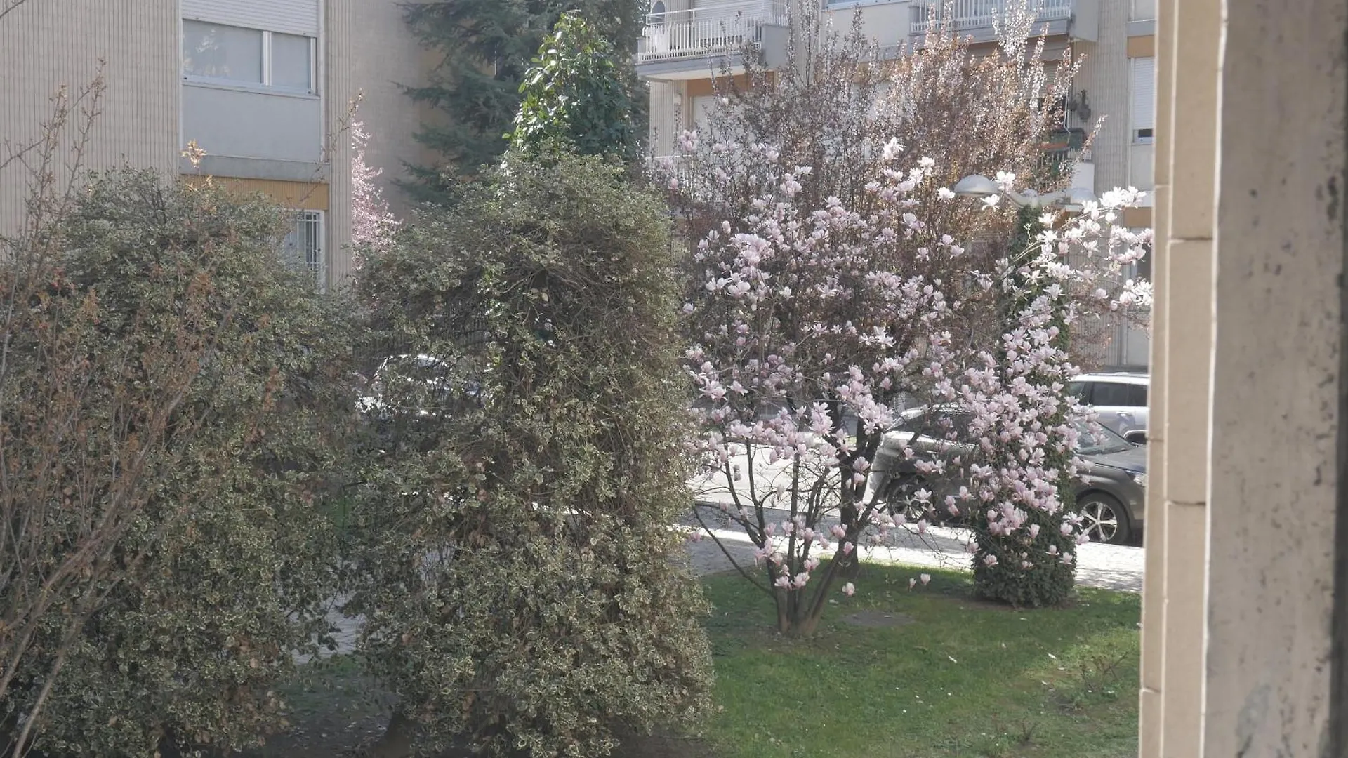 Garden Flat Apartment Milan Italy